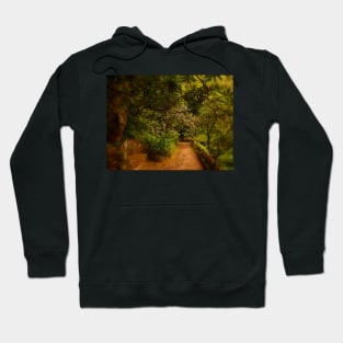 the path to your heart.... Hoodie